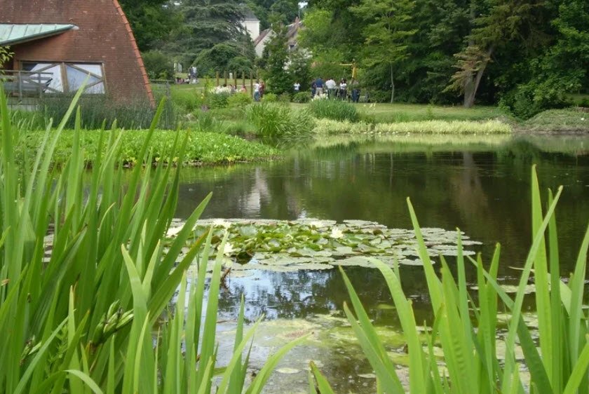 Arboretum National des Barres, Domaine Des Barres, France